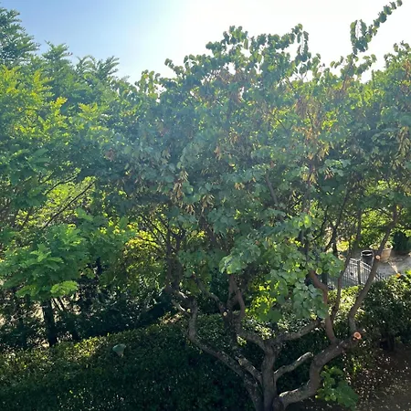 Fosso Delle Carceri *