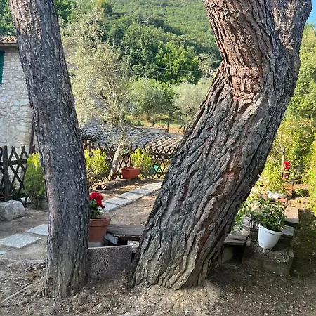 Fosso Delle Carceri *