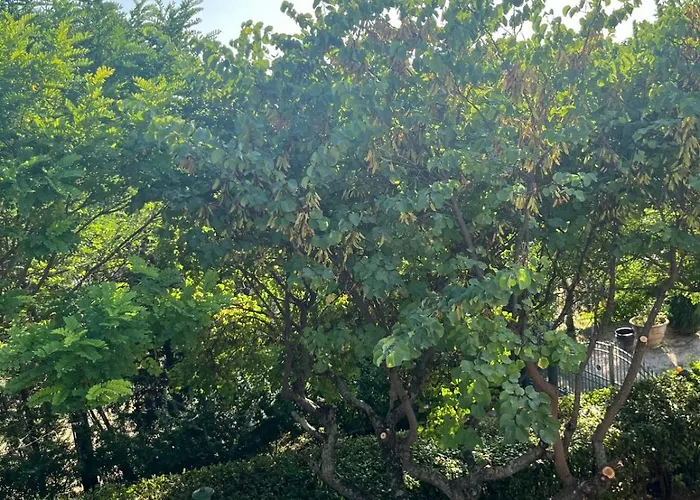 Fosso Delle Carceri *